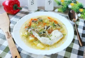 Суп из куропатки