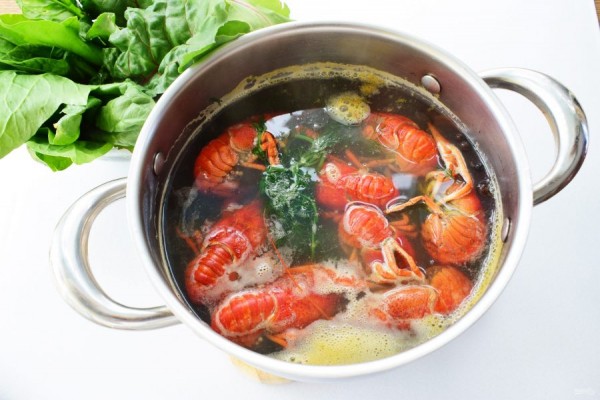 Как правильно варить раков: полезные советы и рецепты        