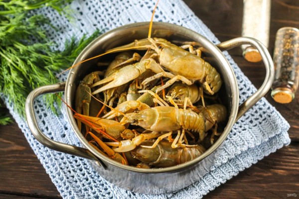 Как правильно варить раков: полезные советы и рецепты        