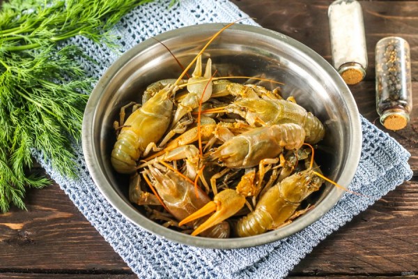 Как правильно варить раков: полезные советы и рецепты        
