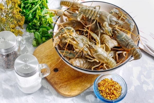 Как правильно варить раков: полезные советы и рецепты        