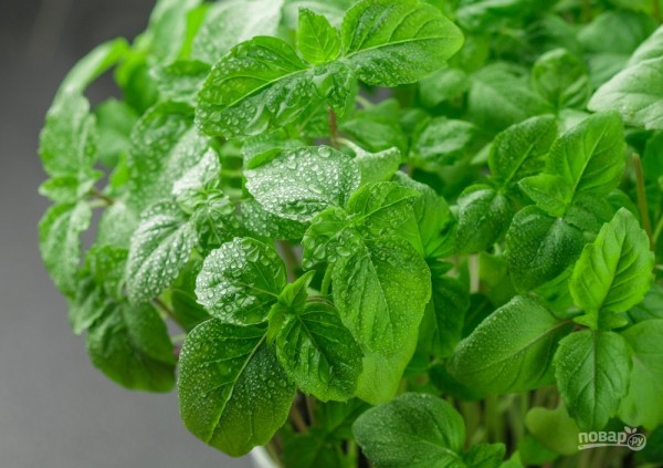 8 полезных альтернатив соли! Чем заменить привычный продукт 8 полезных альтернатив соли! Чем заменить привычный продукт