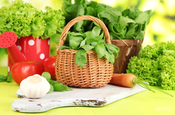 Дачный сезон открыт! Готовим салаты из первой зелени и блюда на гриле Дачный сезон открыт! Готовим салаты из первой зелени и блюда на гриле