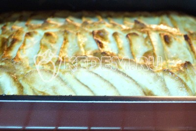 Нежная шарлотка с яблоками в духовке Нежная шарлотка с яблоками в духовке