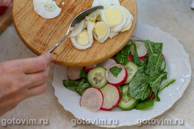 Салат из рукколы с огурцом, редисом и яйцом