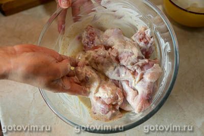 Шашлык из куриных крылышек по-гречески