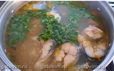 Суп из скумбрии с картофелем и пшеном