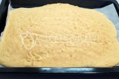 Торт «Новинка» со сметанным кремом Торт «Новинка» со сметанным кремом