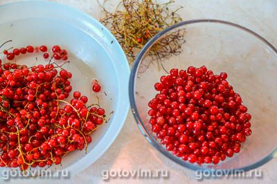 Кисель из красной смородины Кисель из красной смородины