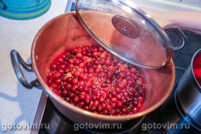 Желе из крыжовника с агар-агаром на зиму