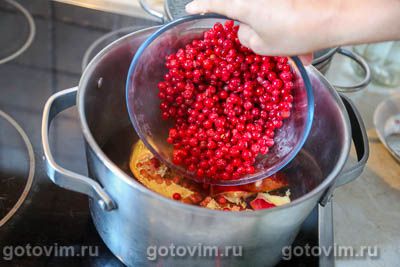 Компот из красной смородины с гранатом