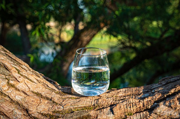 7 причин переедания 7 причин переедания