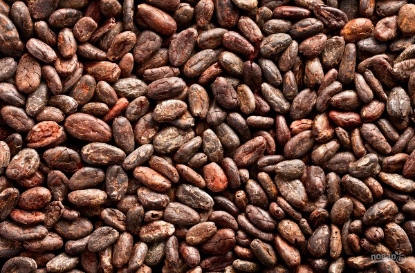 Какао: польза и вред! 13 вариантов приготовления напитка        