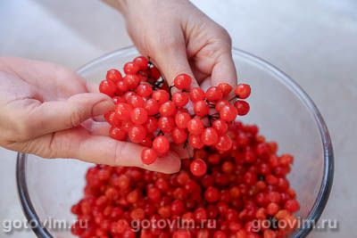 Калина, протертая с сахаром Калина, протертая с сахаром