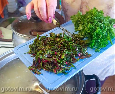 Свекольник на свиных ребрышках со свекольной ботвой Свекольник на свиных ребрышках со свекольной ботвой