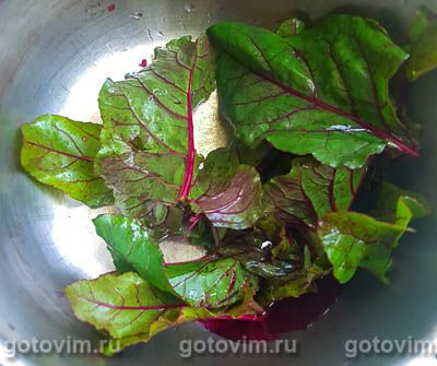 Свекольник на свиных ребрышках со свекольной ботвой Свекольник на свиных ребрышках со свекольной ботвой