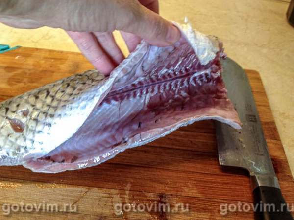 Белый амур, запеченный с творожным сыром в фольге Белый амур, запеченный с творожным сыром в фольге