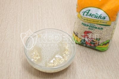 Солянка с перловкой «Таежная»