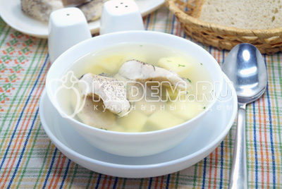 Уха из щуки