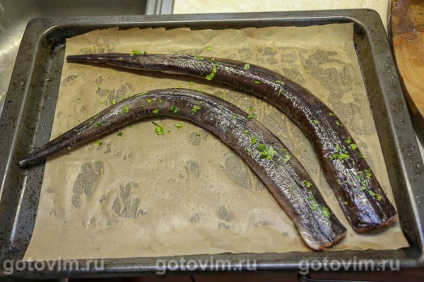 Рыба-игла в духовке Рыба-игла в духовке