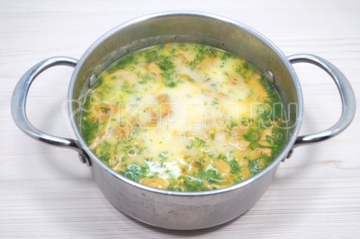 Суп-пюре с лисичками и плавленым сыром Суп-пюре с лисичками и плавленым сыром