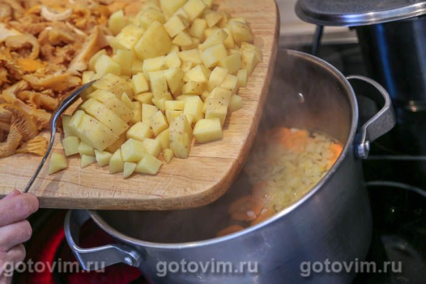 Грибной суп из лисичек с клецками Грибной суп из лисичек с клецками