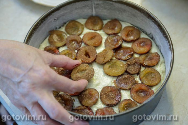 Пирог со сливами из газеты «Нью-Йорк Таймс» Пирог со сливами из газеты «Нью-Йорк Таймс»