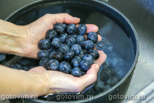 Терн, маринованный в собственном соку