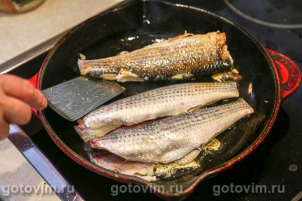 Кефаль, жаренная с апельсином и чесноком Кефаль, жаренная с апельсином и чесноком