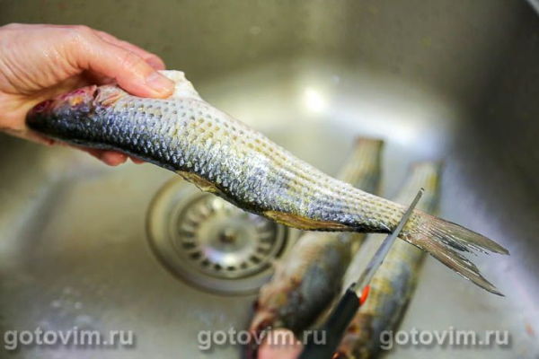 Кефаль, жаренная с апельсином и чесноком Кефаль, жаренная с апельсином и чесноком