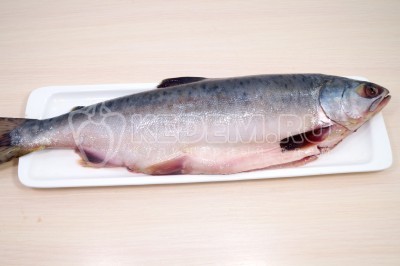 Сливочный суп с красной рыбой и рисом Сливочный суп с красной рыбой и рисом